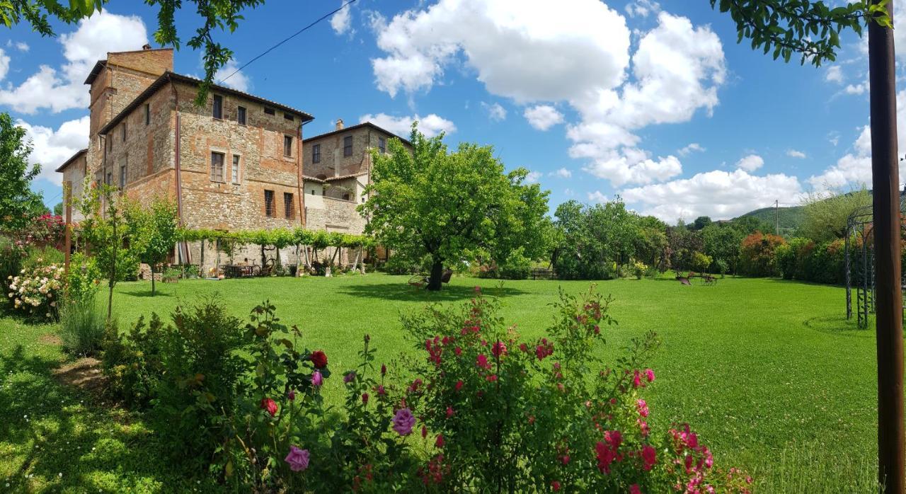 Agriturismo Abbazia Sette Frati A Casa Di Sara Pietrafitta  Extérieur photo