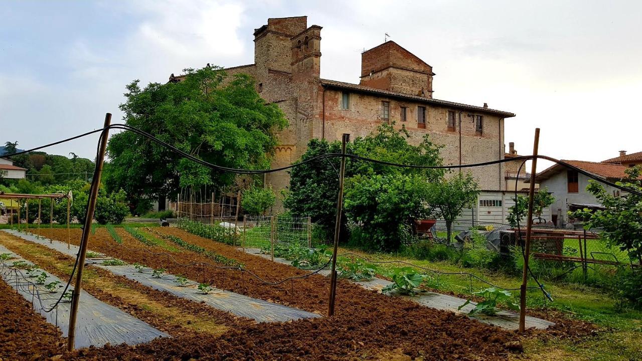 Agriturismo Abbazia Sette Frati A Casa Di Sara Pietrafitta  Extérieur photo